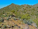 photo thumbnail #4