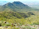 photo thumbnail #15
