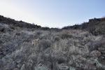 photo thumbnail #12