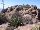 photo thumbnail #4