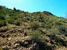 photo thumbnail #10