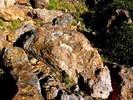 photo thumbnail #13