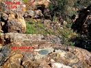 photo thumbnail #15