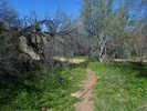 photo thumbnail #6