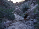 photo thumbnail #2