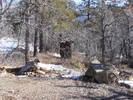photo thumbnail #7