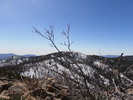 Featured Full Photo