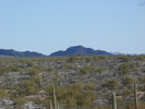 photo thumbnail #4