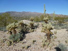 photo thumbnail #8