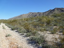 photo thumbnail #9