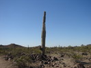 photo thumbnail #11