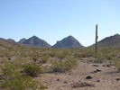 photo thumbnail #12
