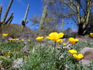 photo thumbnail #10