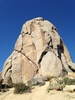 recent photo