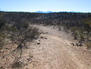 photo thumbnail #4