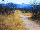 photo thumbnail #6