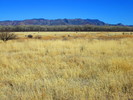 photo thumbnail #7