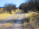 photo thumbnail #9