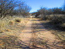 photo thumbnail #11