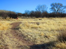 photo thumbnail #15