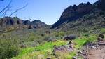 photo thumbnail #7
