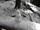 photo thumbnail #14