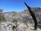 2013-03-02 :2: Window Peak :: sbkelley