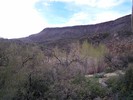 photo thumbnail #11