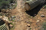 photo thumbnail #8