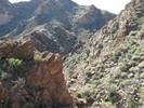 photo thumbnail #7