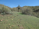 photo thumbnail #10