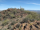 photo thumbnail #14