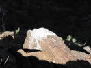 photo thumbnail #15