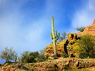 photo thumbnail #9