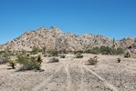 photo thumbnail #7