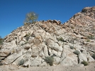 photo thumbnail #9