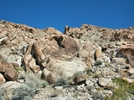 photo thumbnail #10