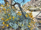 photo thumbnail #11