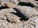 photo thumbnail #13