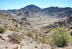 photo thumbnail #15