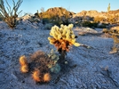 photo thumbnail #3