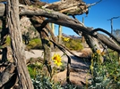 photo thumbnail #9