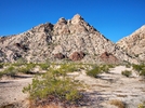 photo thumbnail #10
