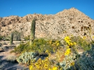 photo thumbnail #12
