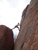 photo thumbnail #2
