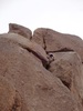photo thumbnail #5