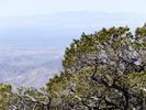 photo thumbnail #10