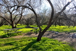photo thumbnail #11