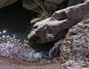 photo thumbnail #13