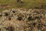 photo thumbnail #6